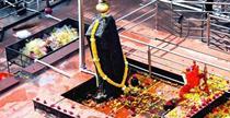 Shani Jayanti Brings Happiness and Success